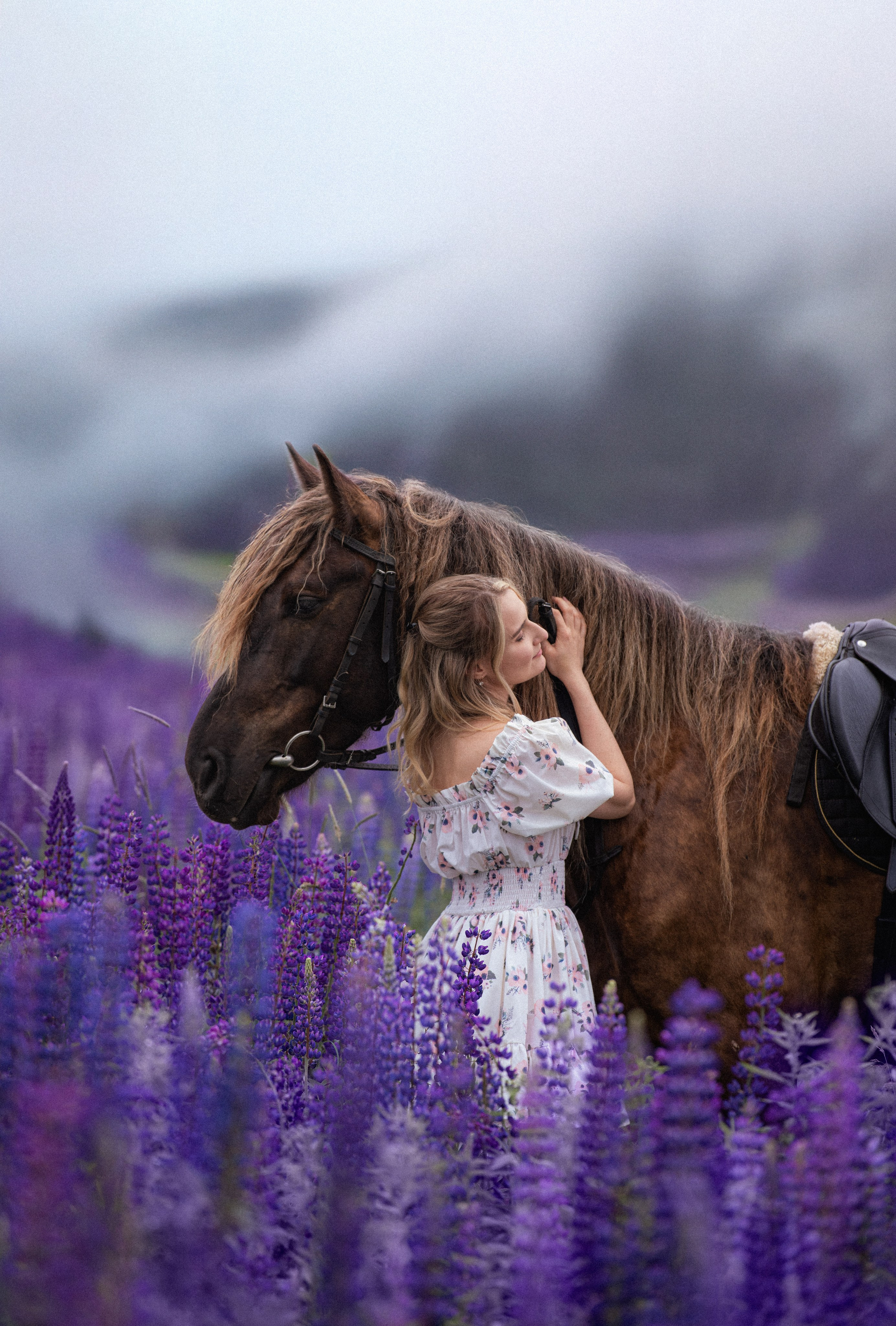 Каталог лошадей. Конный фотограф в Москве — Дарья Алексеева | Премиальные фотосессии с лошадьми