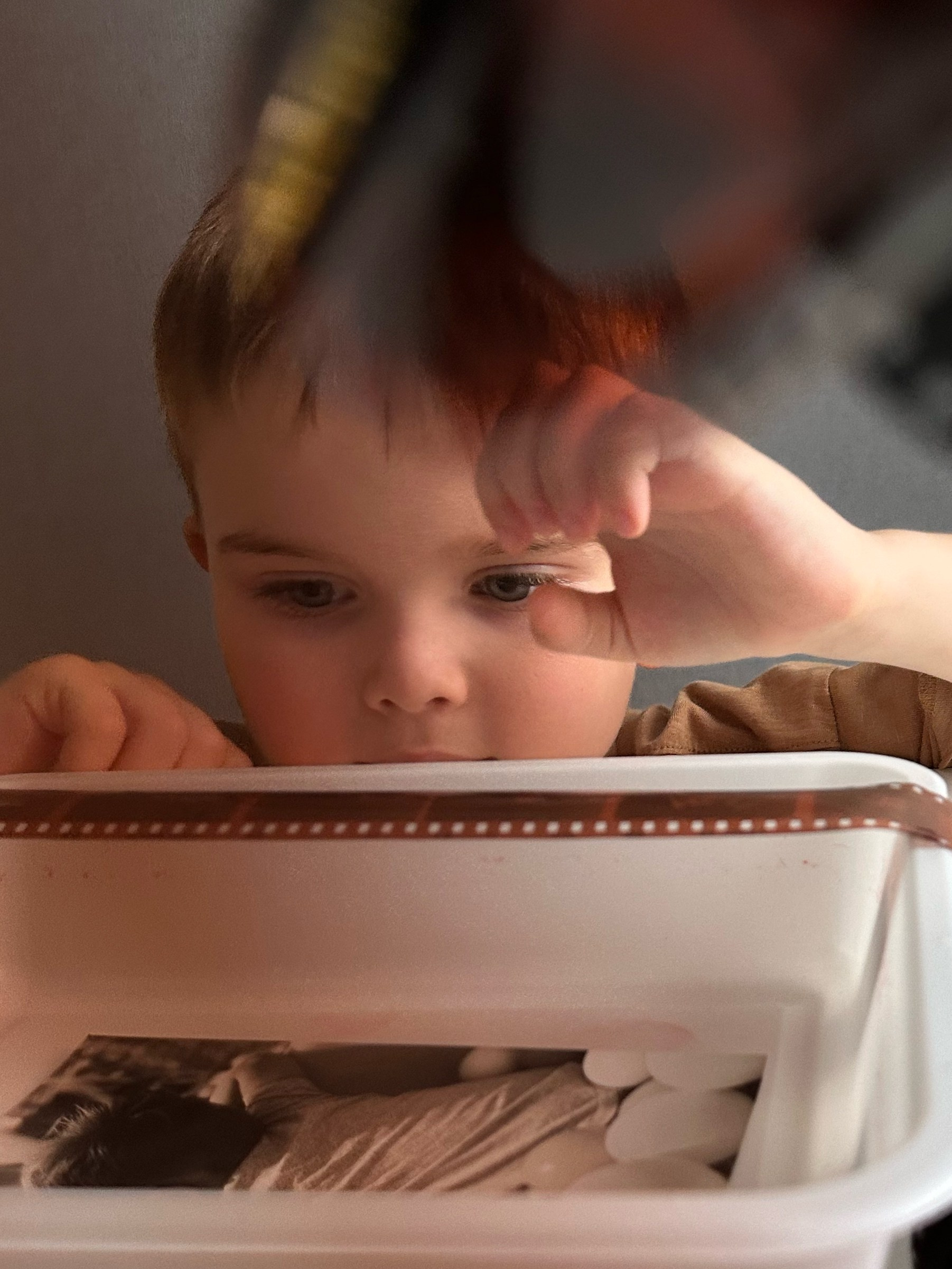 Контакты. Светлана Агалакова Фотограф