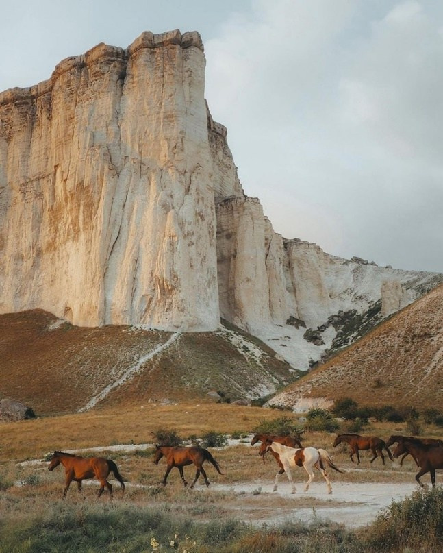 Локации для фотосессий в Крыму. Фотограф, фотосессии «Всё включено» в Москве и Московской области