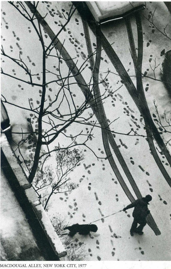 Выпускной альбом в Ростове-на-Дону, фотограф Денис Зимин. Выпускные альбомы, фотограф Денис Зимин в городе Ростове-на-Дону