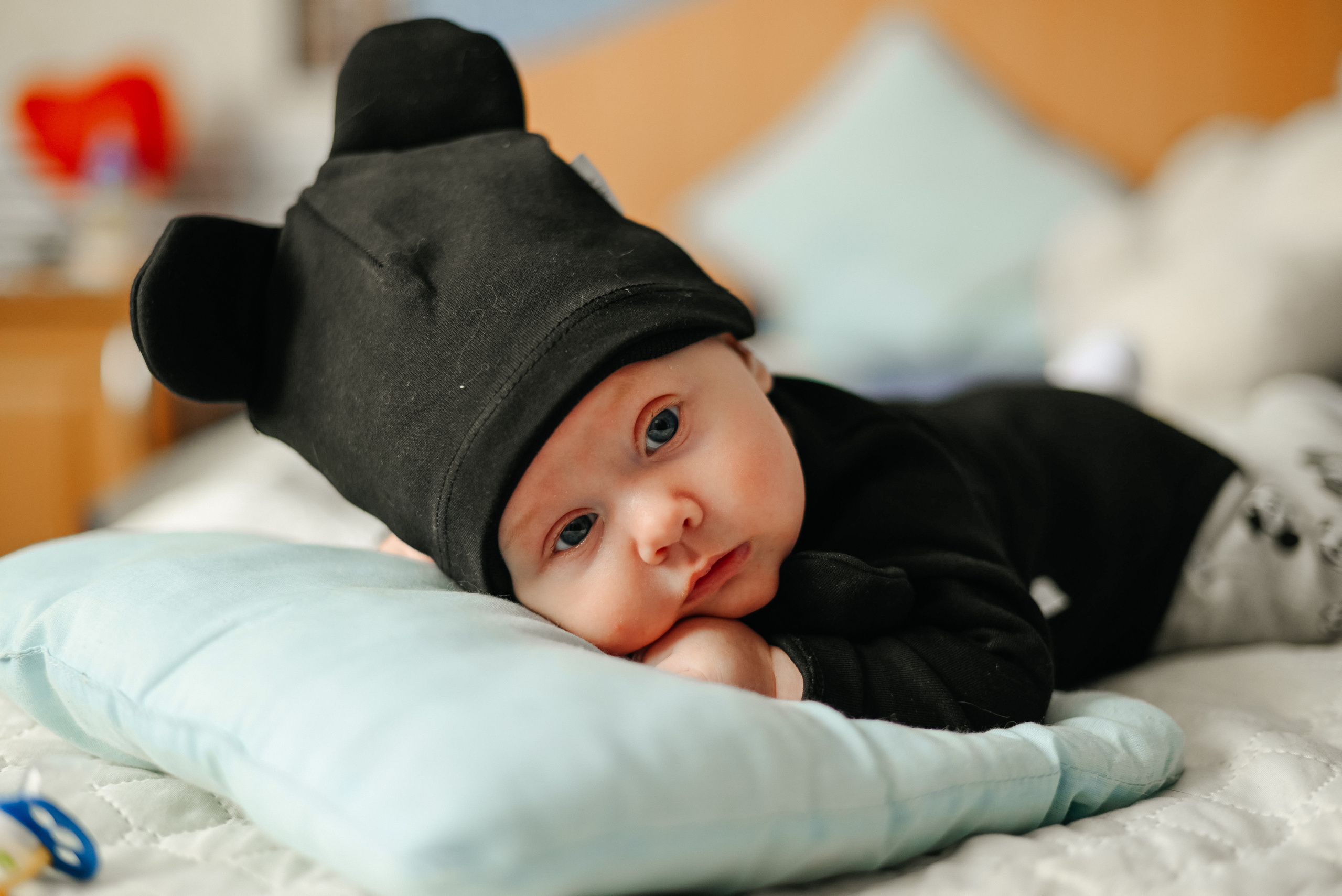 Годовое фотосопровождение. Свадебный, семейный и школьный фотограф в Бийске Ксения Мамаева