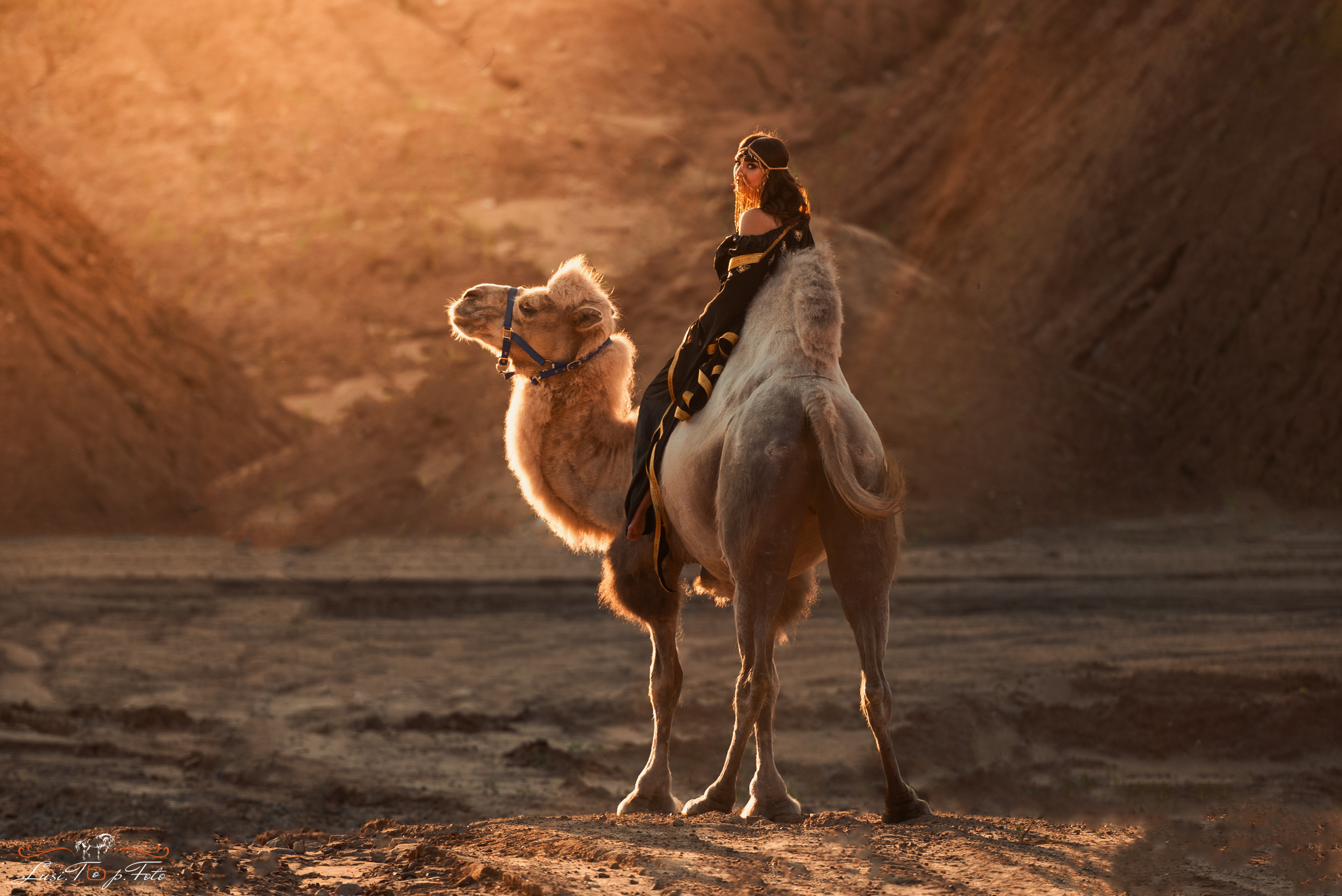 Конный и фотограф с животными в Твери Топталова Люся