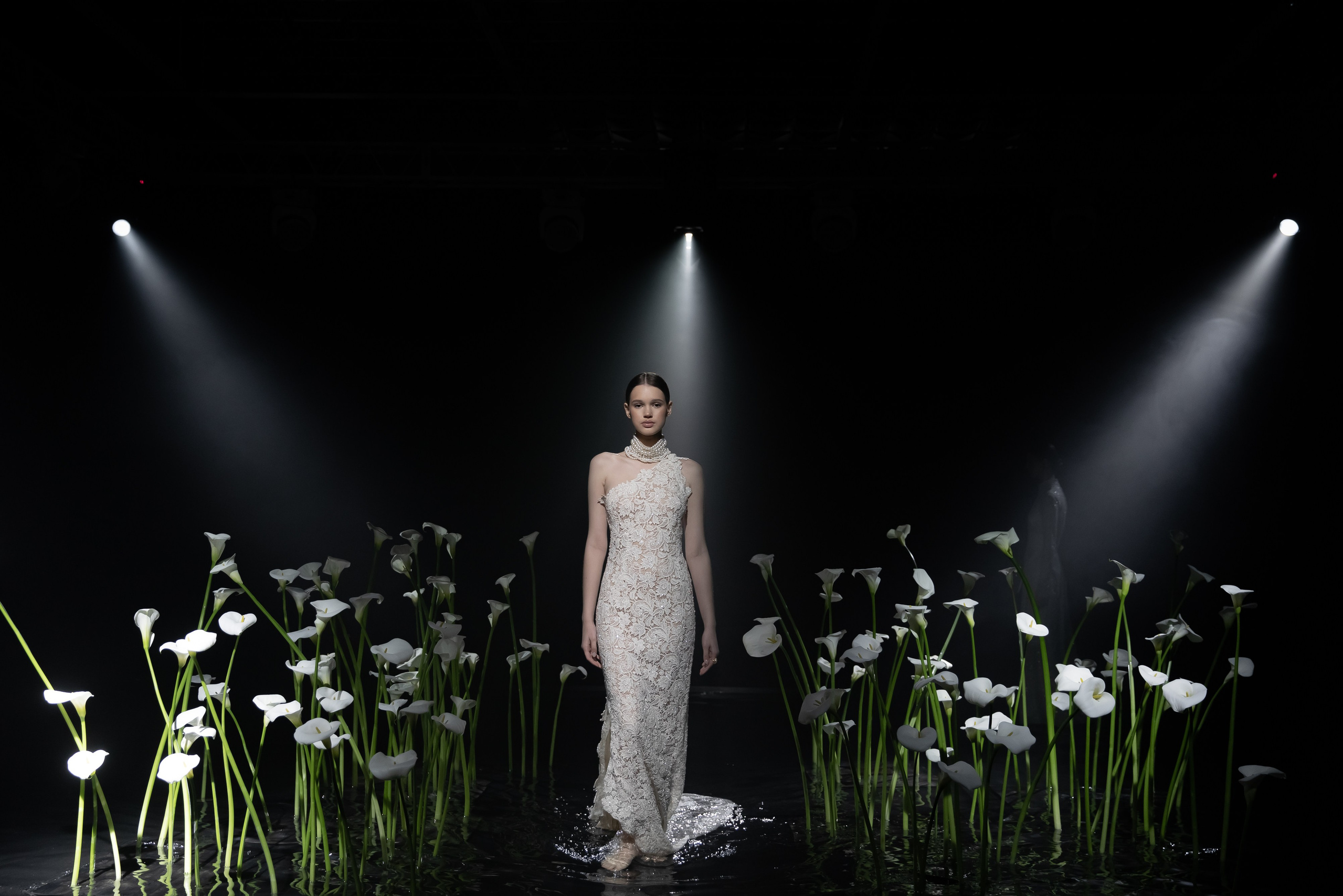 Услуги. Свадебный фотограф