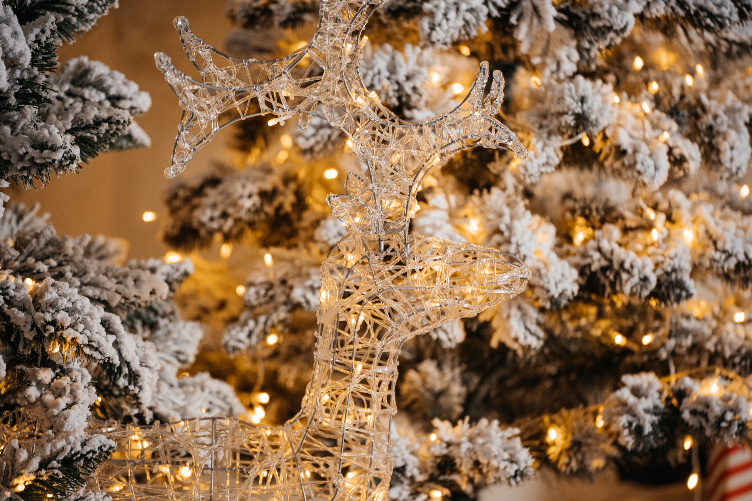 Локации New Year. Лана Абрамян-Фотограф новорожденных и беременных в Новороссийске Анапе