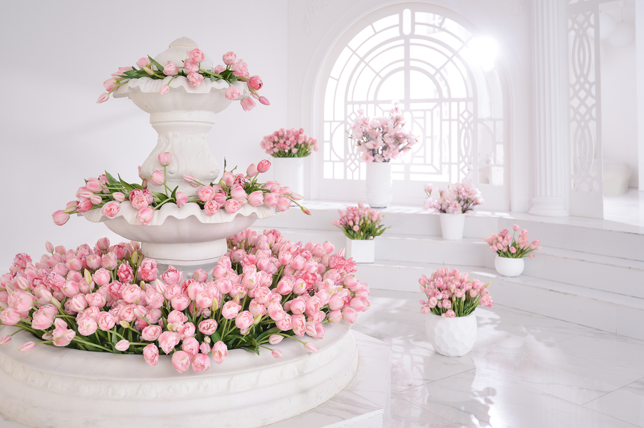 Моя подборка фотостудий в Москве и ближайшем Подмосковье. Фотограф Алина Лебедь