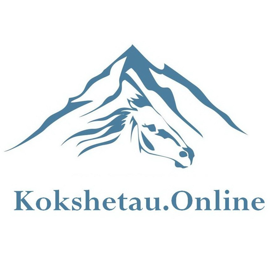 Gemini о сайте kokshetau.online