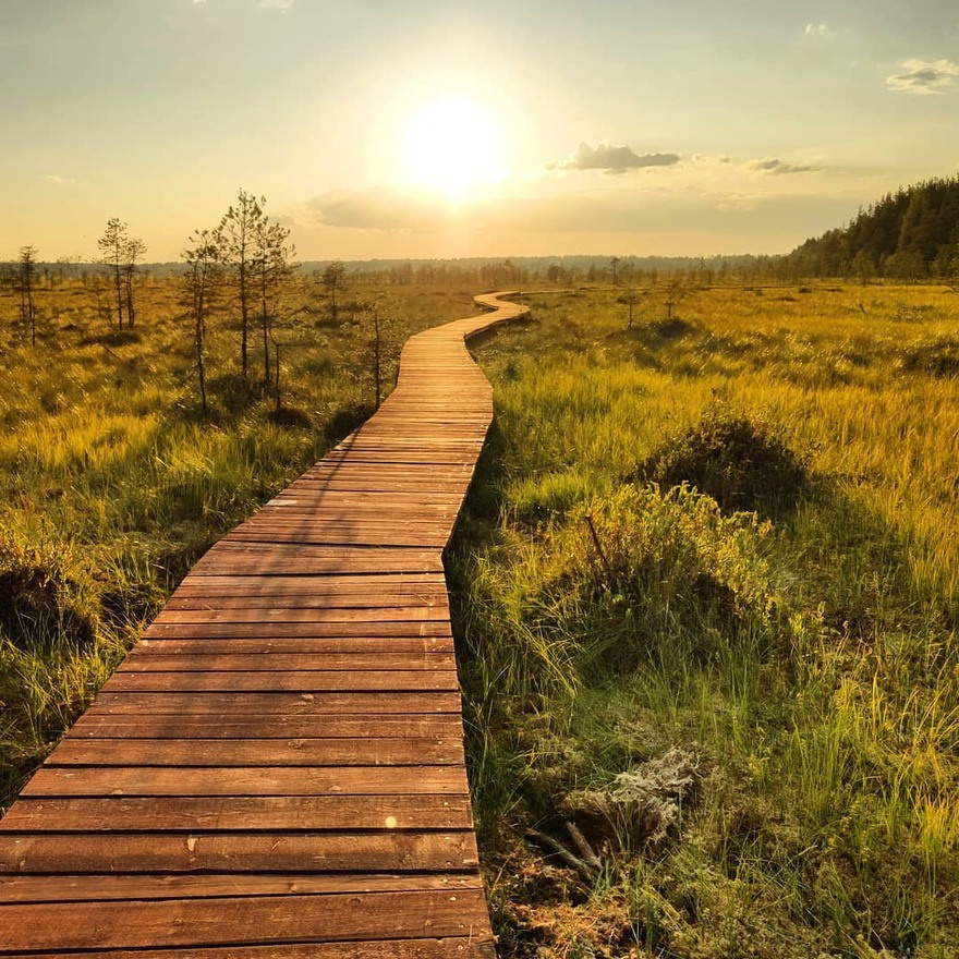 ТОП-50 мест для фотоссесий. Nastya Chutaeva | Фотограф в Санкт-Петербурге