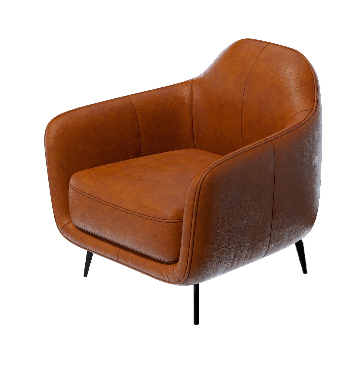 Sketchup. 3D визуализация интерьера и архитектурной среды