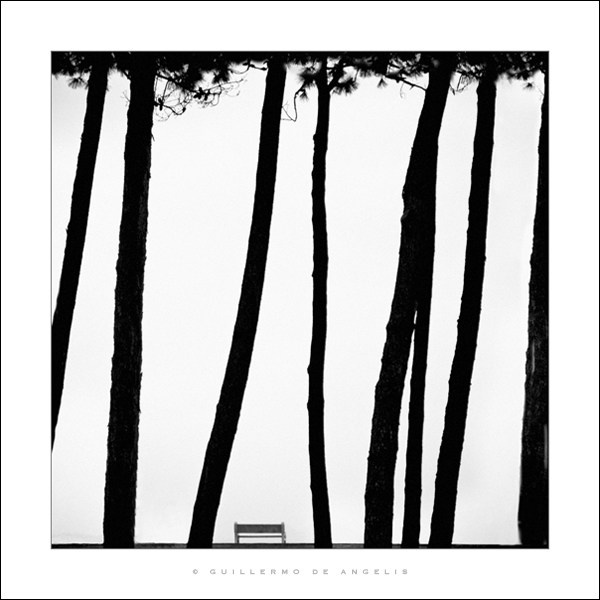 Гильермо Де Анджелис