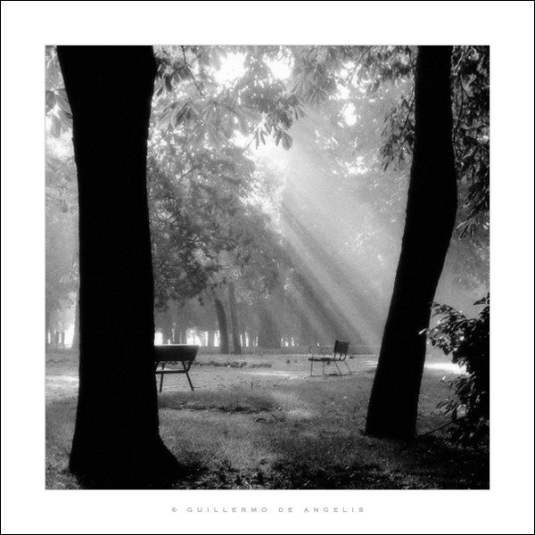 Гильермо Де Анджелис