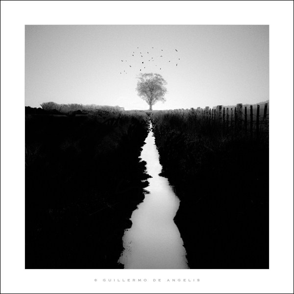 Гильермо Де Анджелис