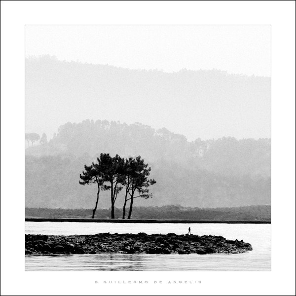 Гильермо Де Анджелис