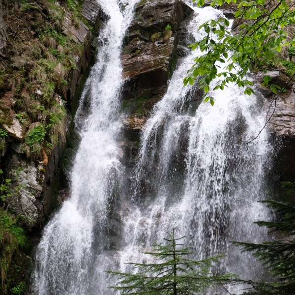 Фотограф Сочи и Адлер — Фотосессии по доступной цене