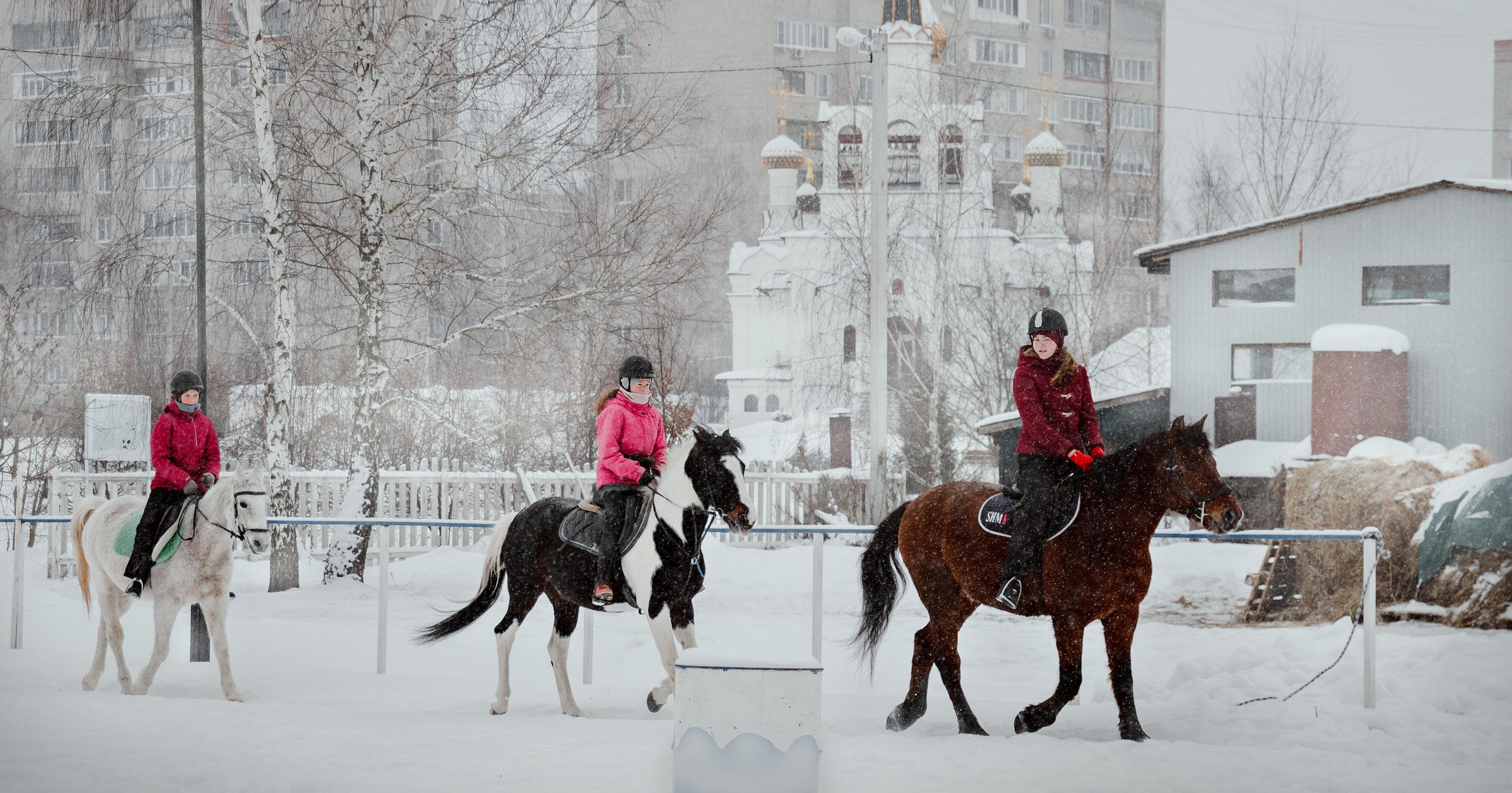 Конноспортивная школа Добрый конь город Белоозерский