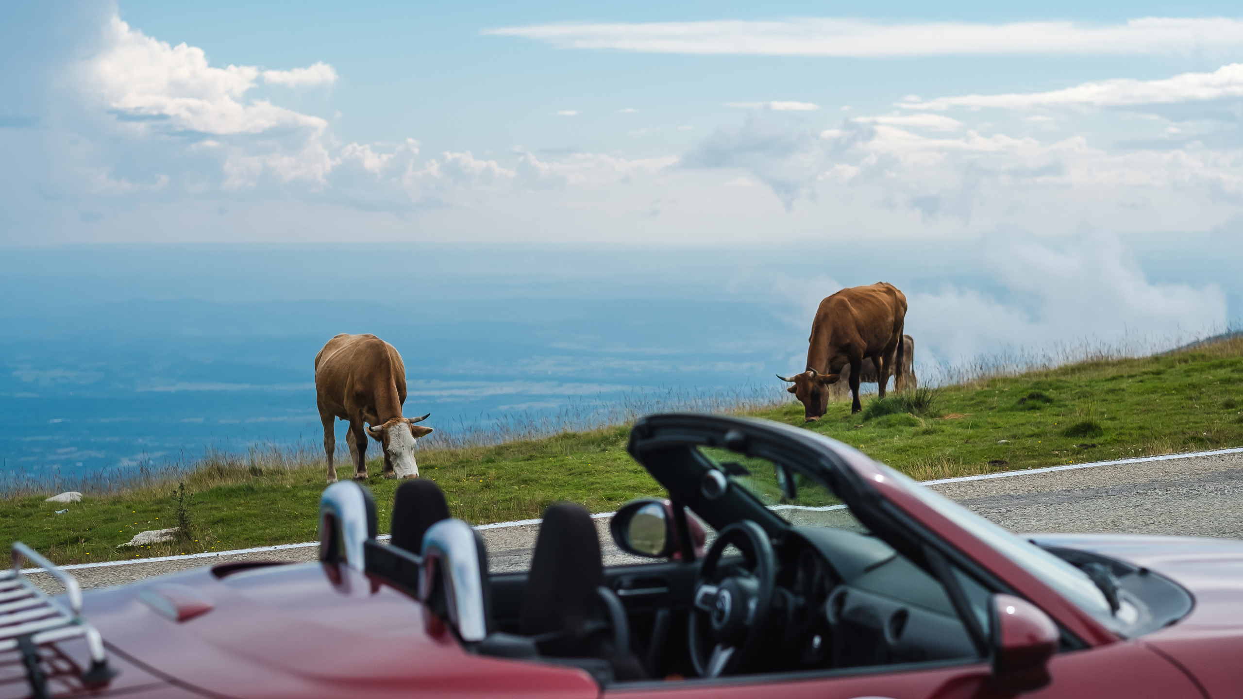 Путешествие в Румынию | Часть 3/4. Фотограф Дмитрий Питерский
