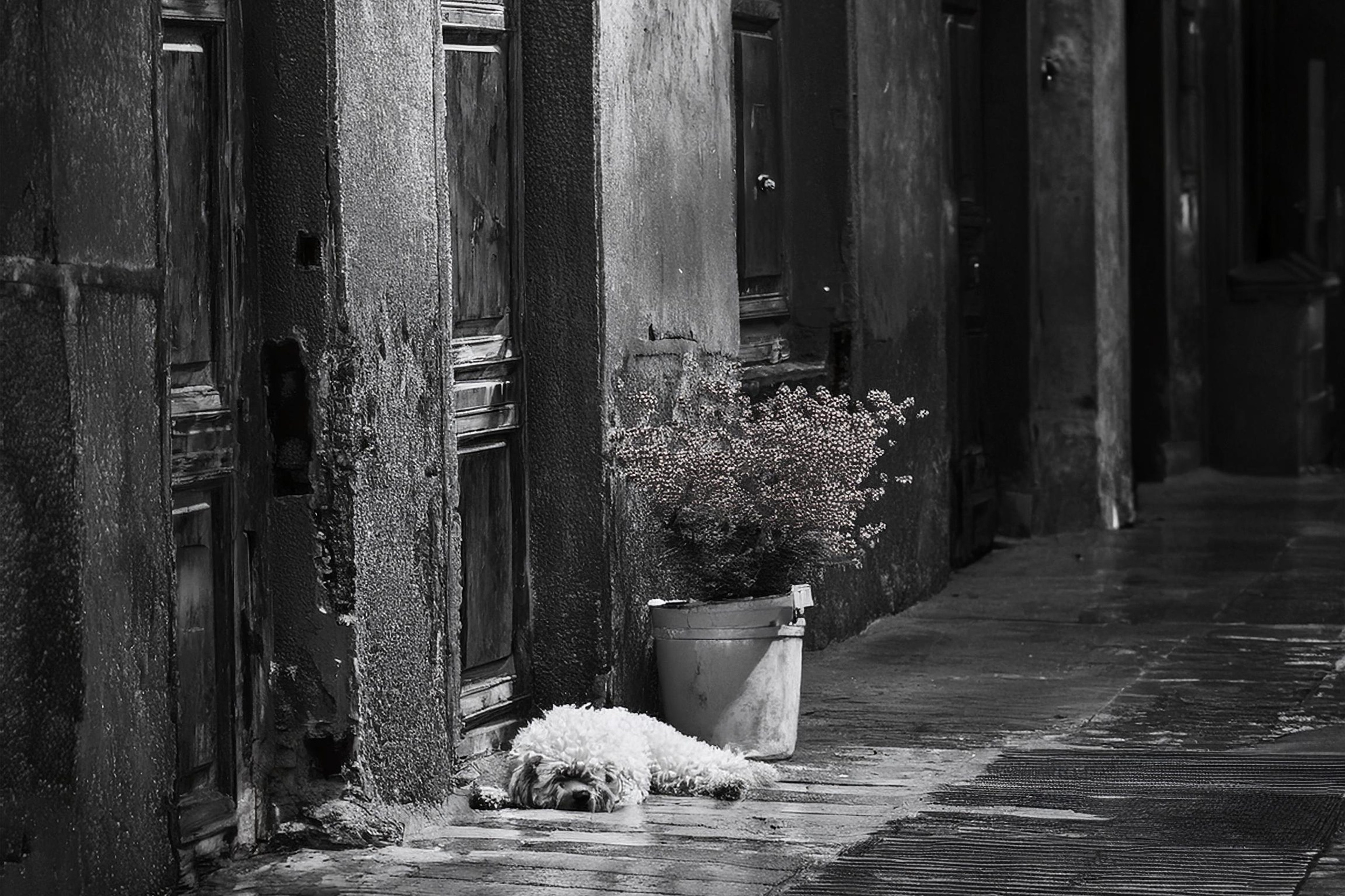 Улучшаем качество чёрно-белых фотографий: советы и инструменты. Сафронов Иван — портретный фотограф в Москве