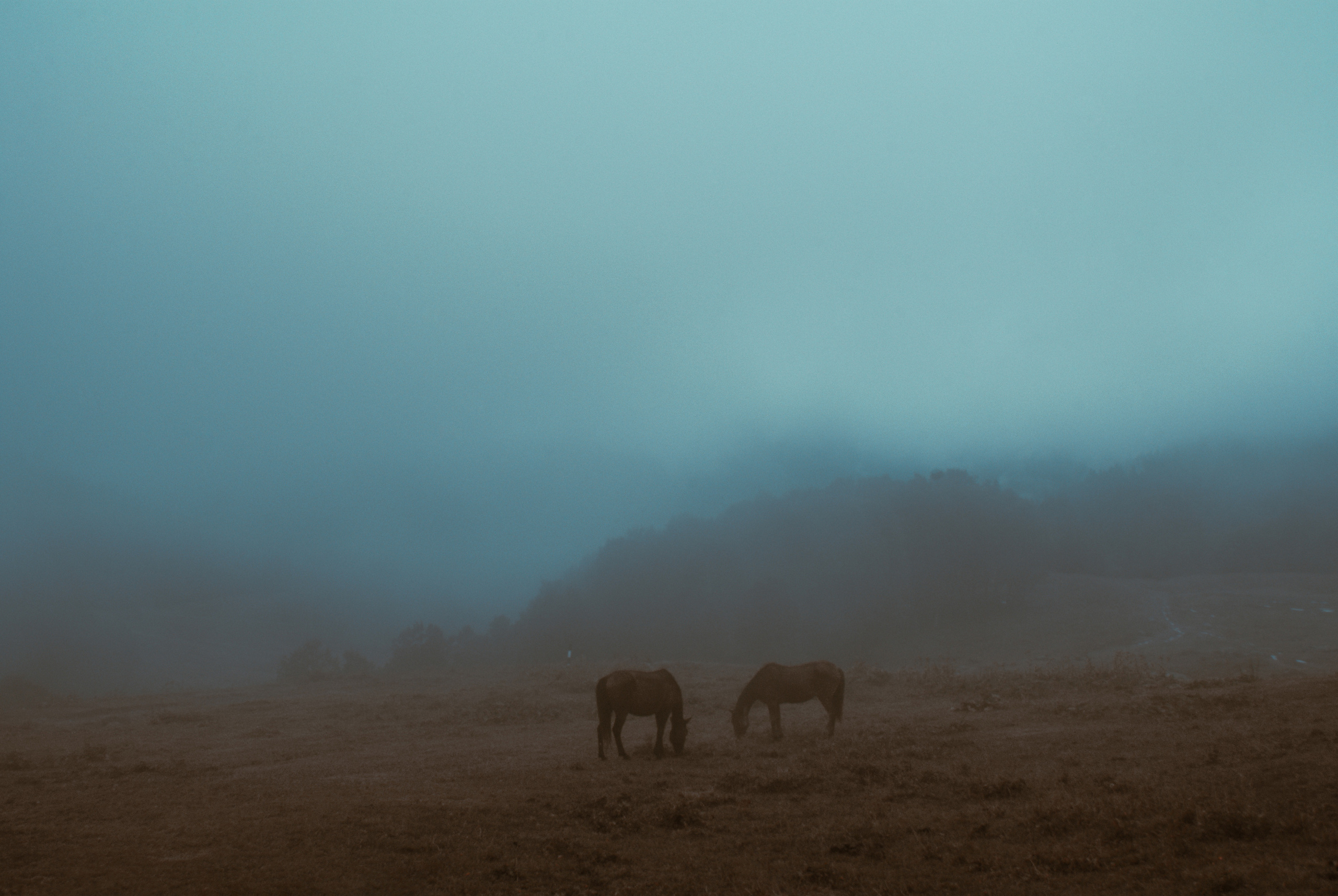 Путешествия. Фотохудожник Алина Ершова
