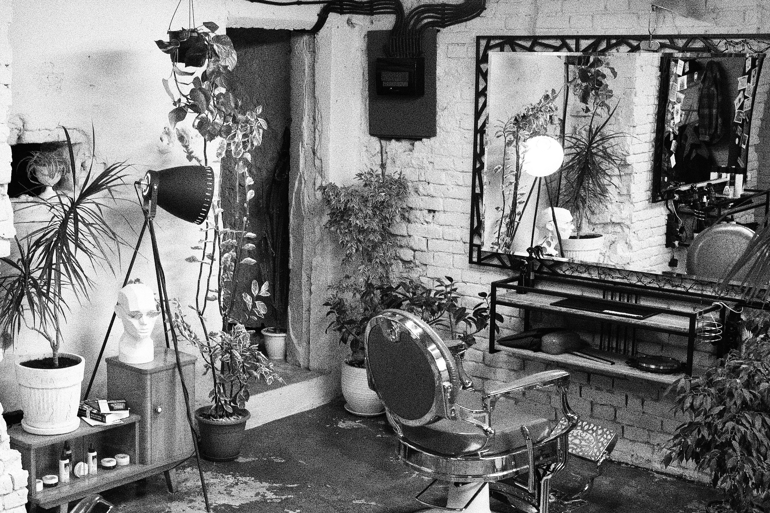 «МЫ ХОТЬ И ПАРИКМАХЕРСКАЯ, НО У НАС СВОЯ ГЛУБОКАЯ ФИЛОСОФИЯ»