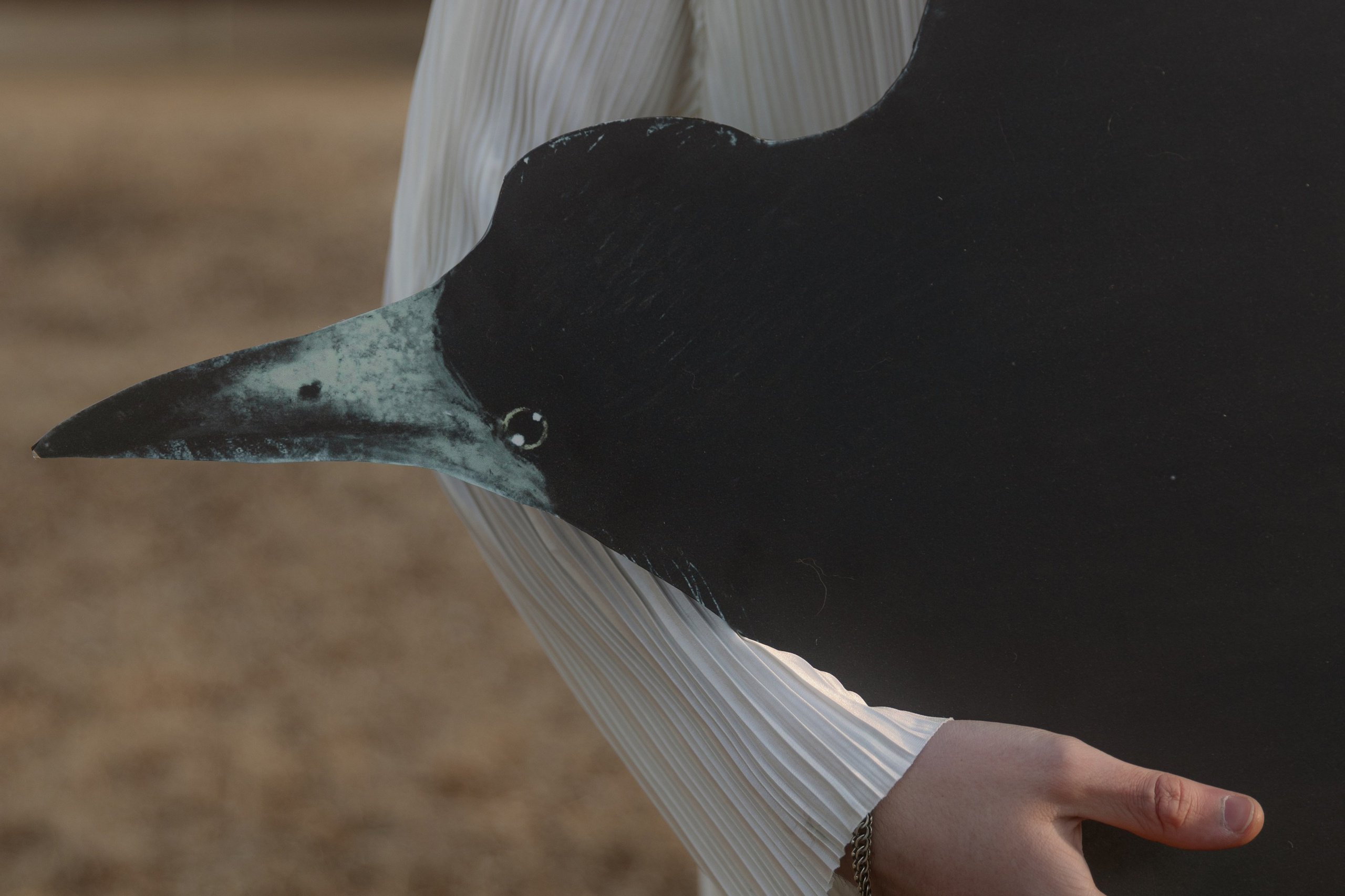 Свадьбы Владивосток. Организация свадеб и других мероприятий во Владивостоке от «Рядом быть»