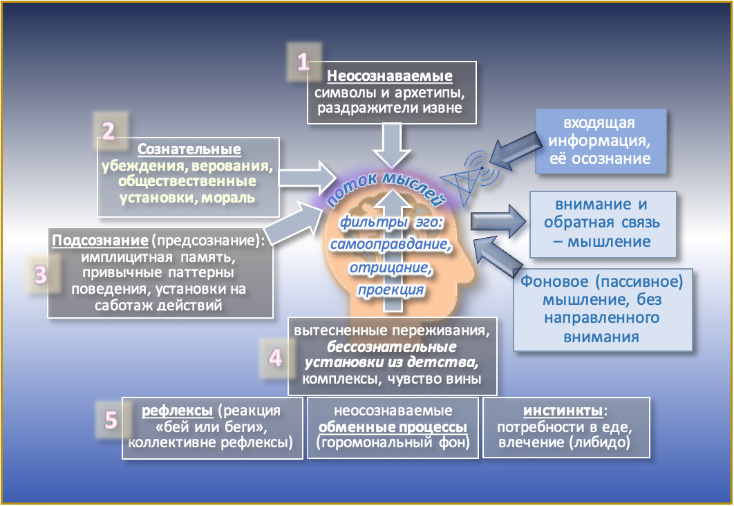 Что нами управляет — сознание или то, что от него скрыто?. Гид и фотограф в Валенсии Новиков Михаил