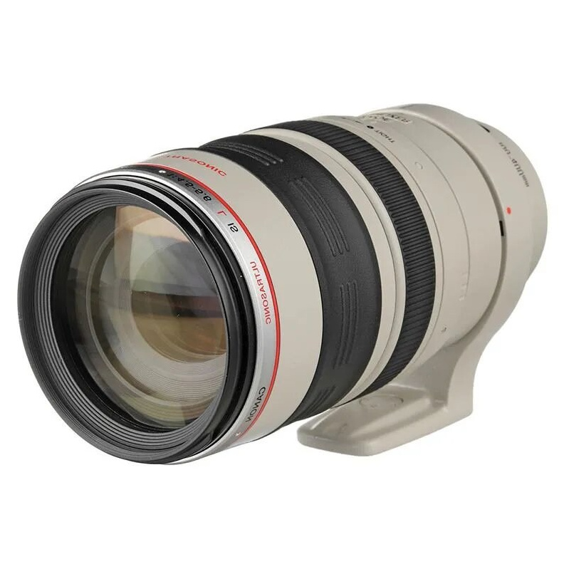  Canon 100-400 mm L IS USM