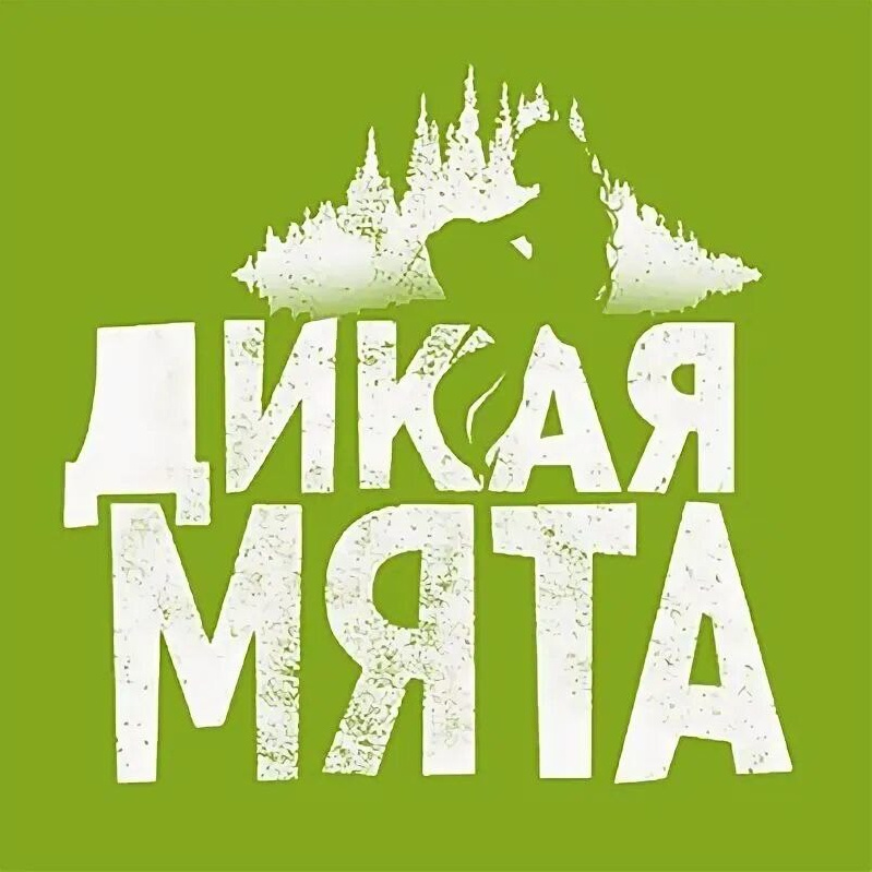 Дикая мята