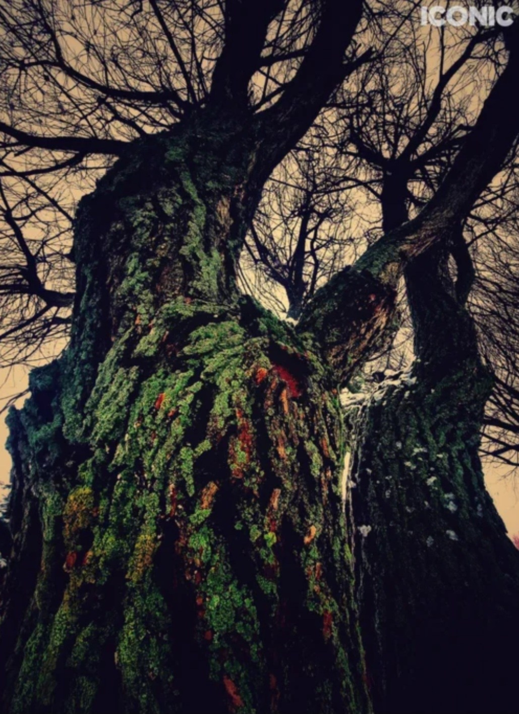 Публикации в журналах. Портретный фотограф в Москве Анна Фаустова