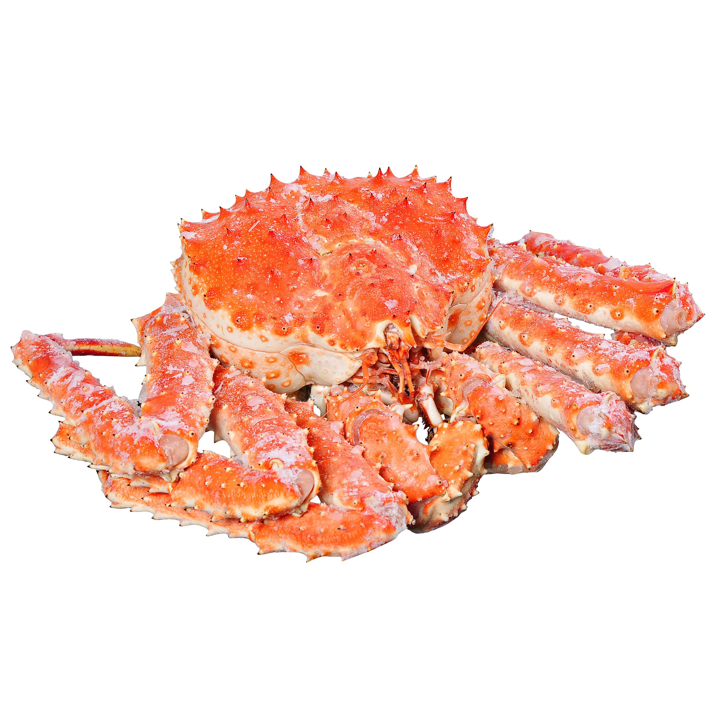 Камчатский краб