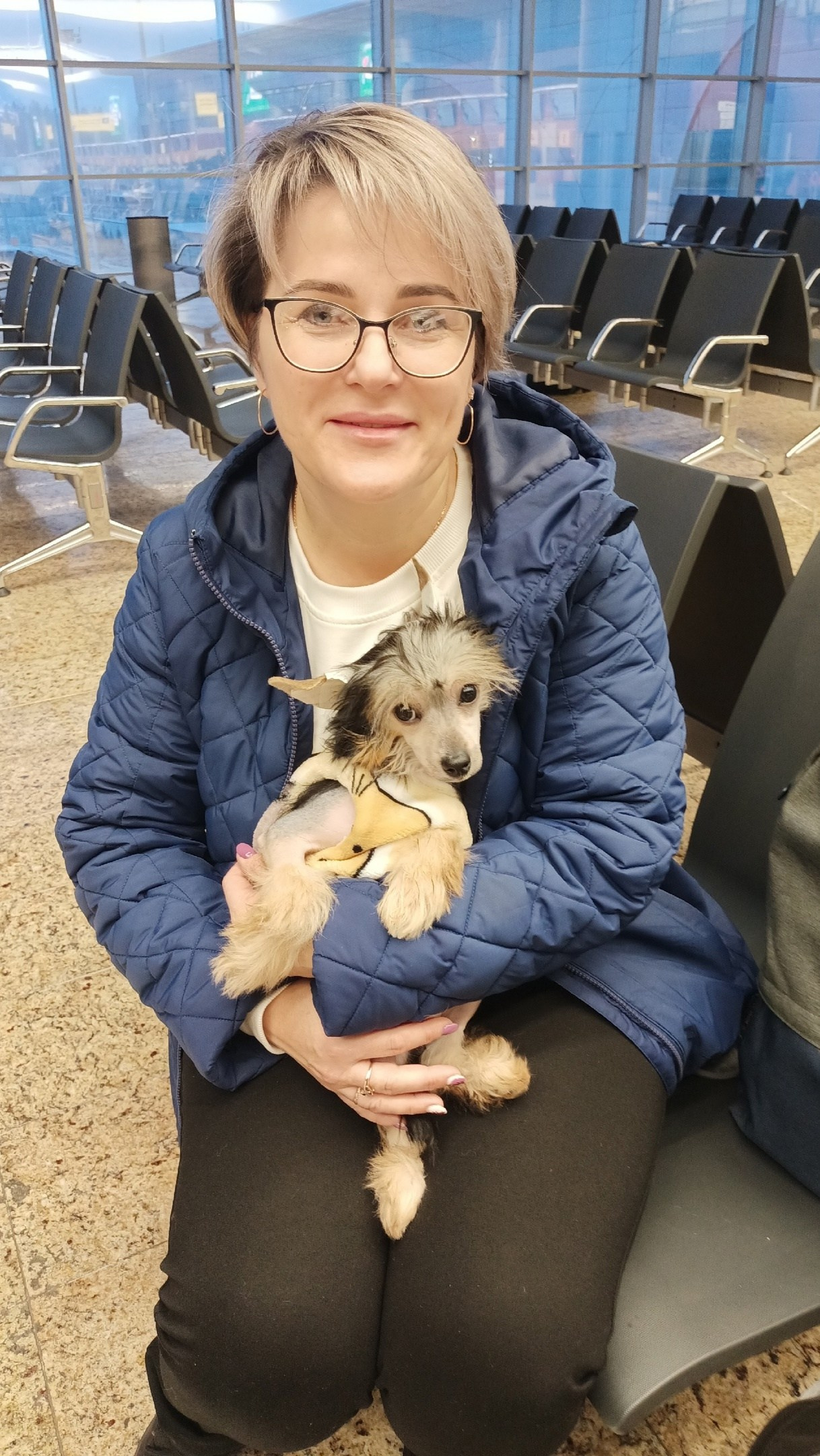 Fedor (Laisan Island Franklin) — New Home!. Chinese Crested Dog: Buy a Puppy from a Kennel