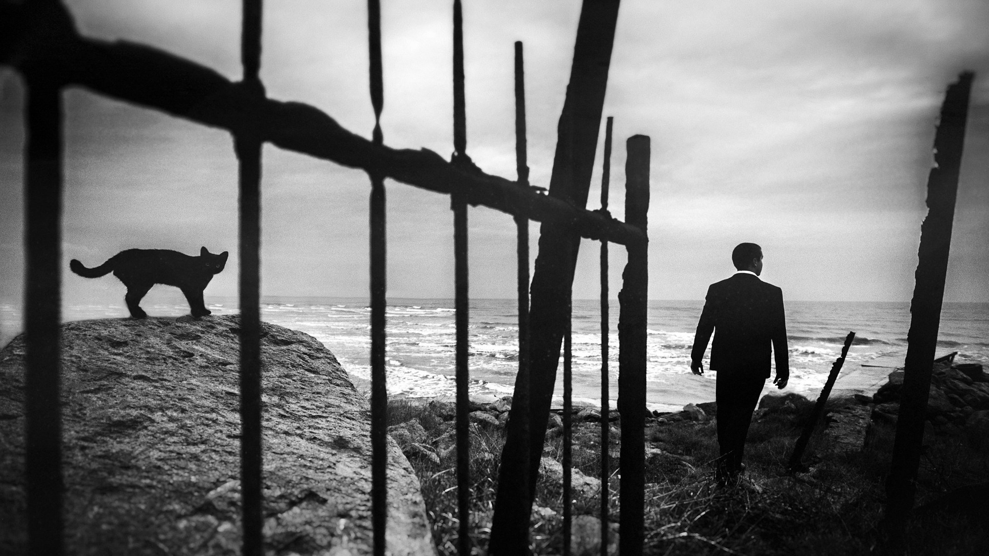 Услуги. The Andris