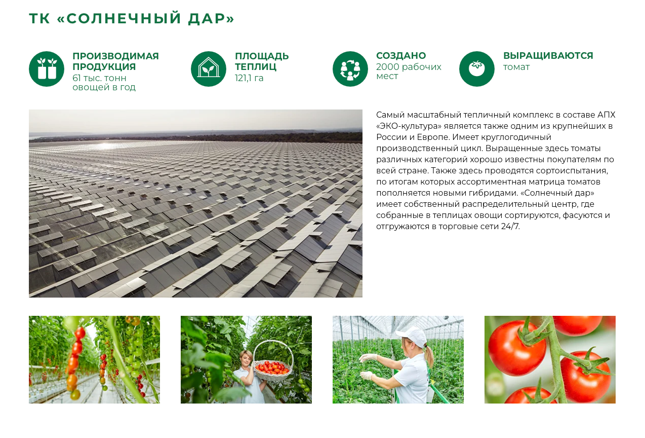 Эко-Культура