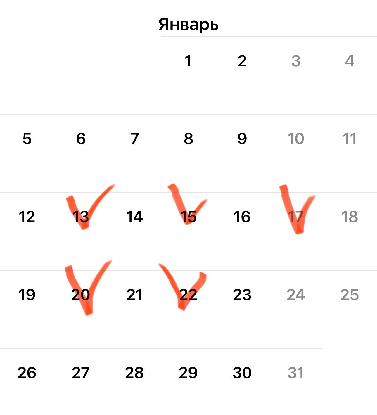 Новогодние фотосесии. Фотограф новорожденных г. Абакан Дарья Пасынкова