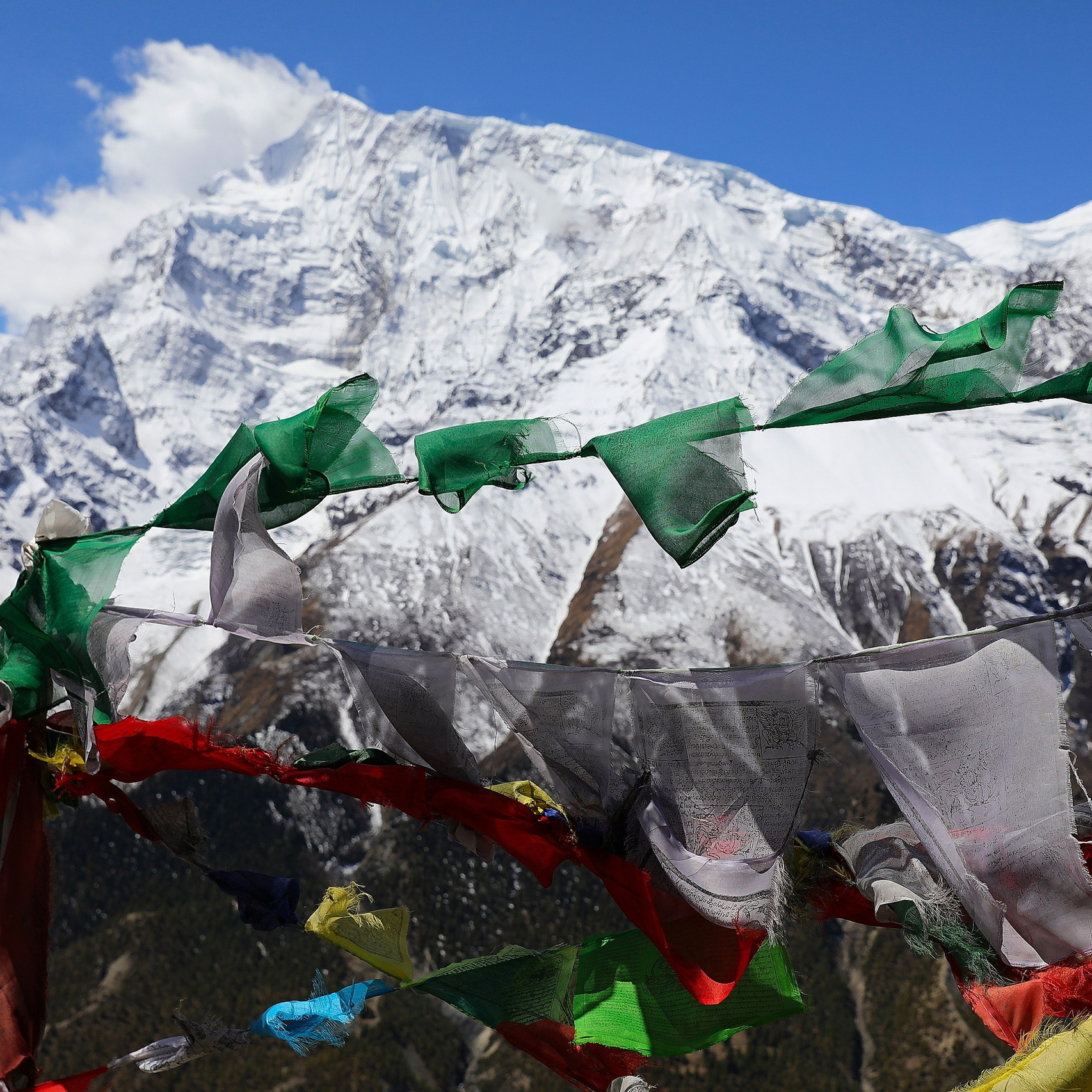 Мустанг_2026. Клуб путешествий HimalTrex Горные туры в Гималаи Непал