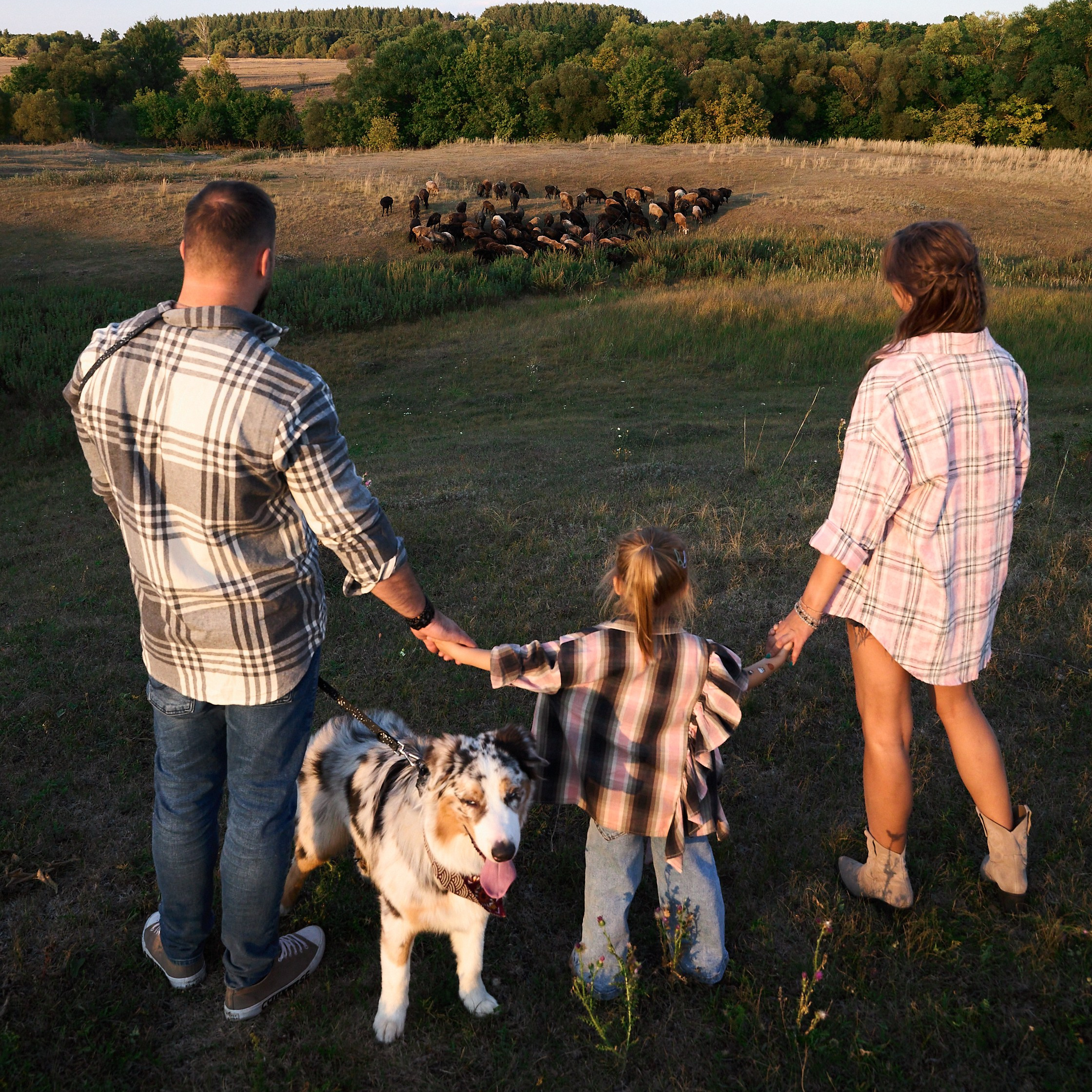 ЦЕНЫ. Фотограф Максим Маркелов