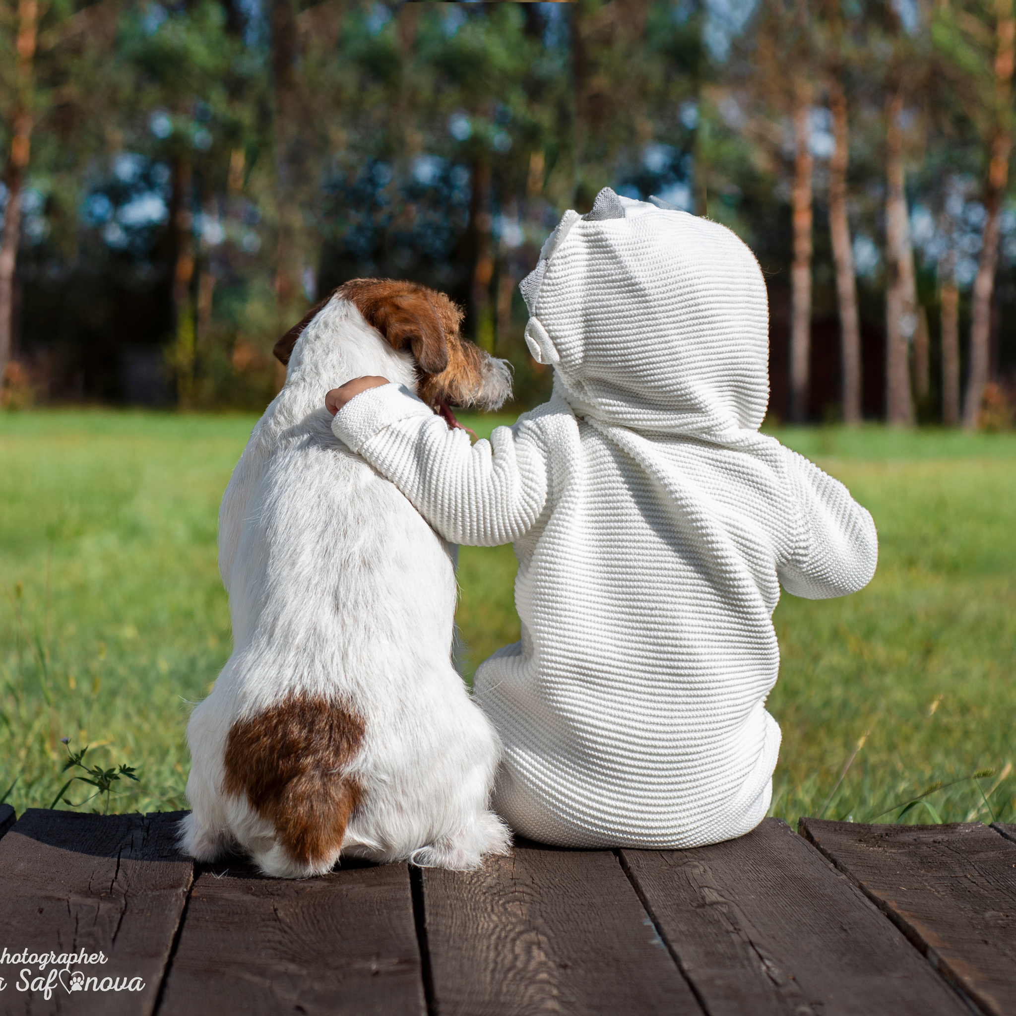 INFO. Фотограф анималист Благовещенск. Сафонова Виктория