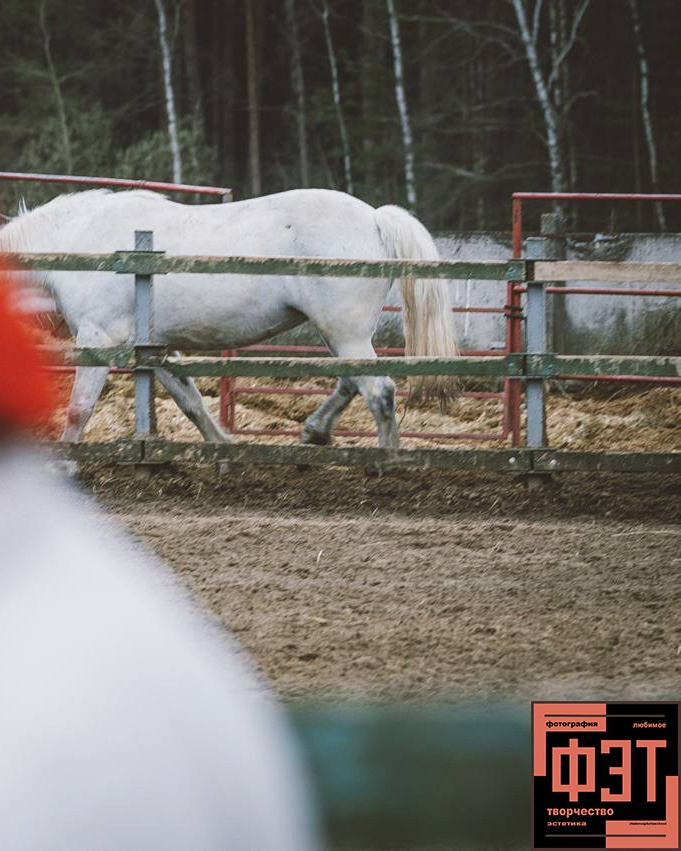 Альбом 19.04.26 в рамках проекта ФЭТ