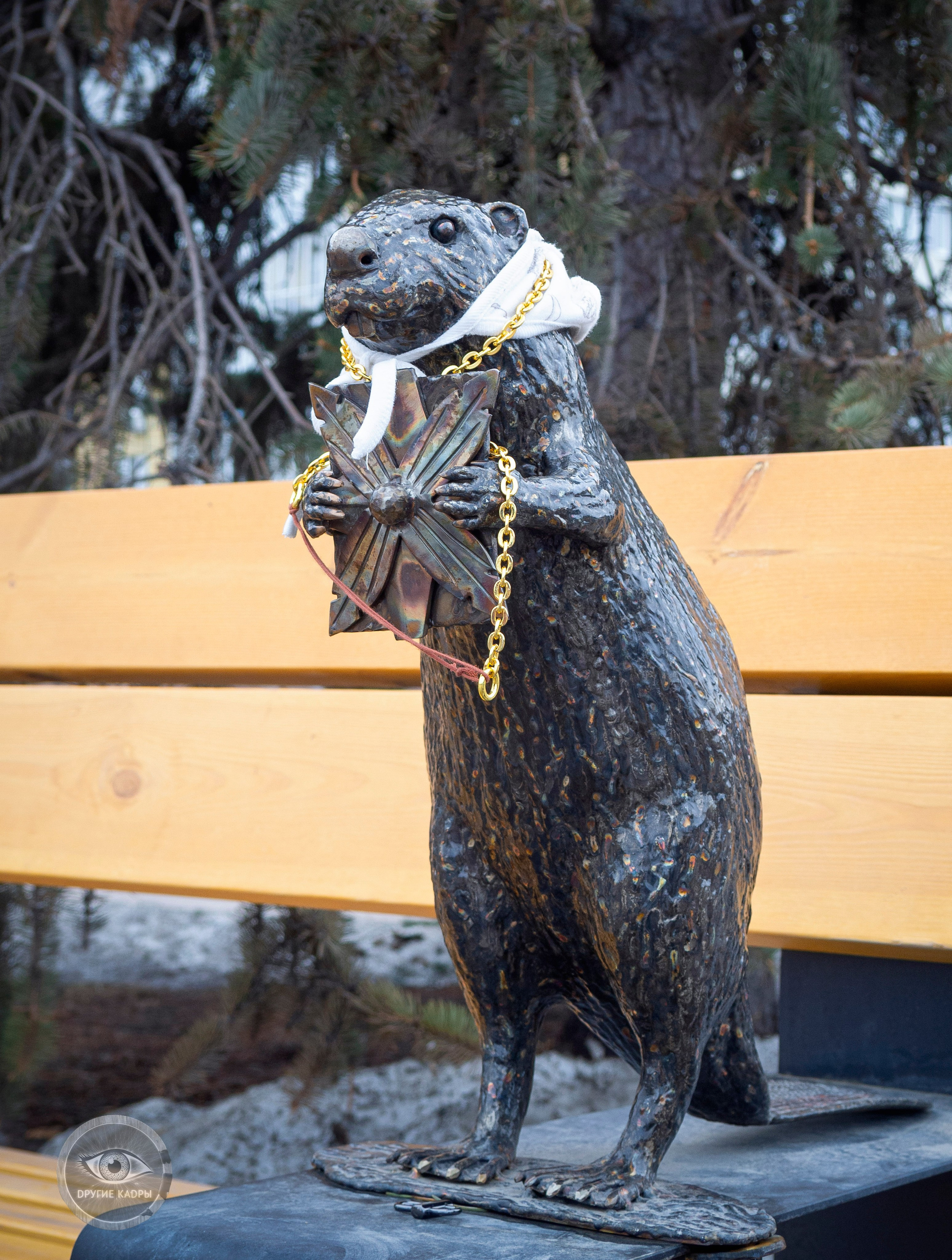 Соболь Тюментий и его друзья