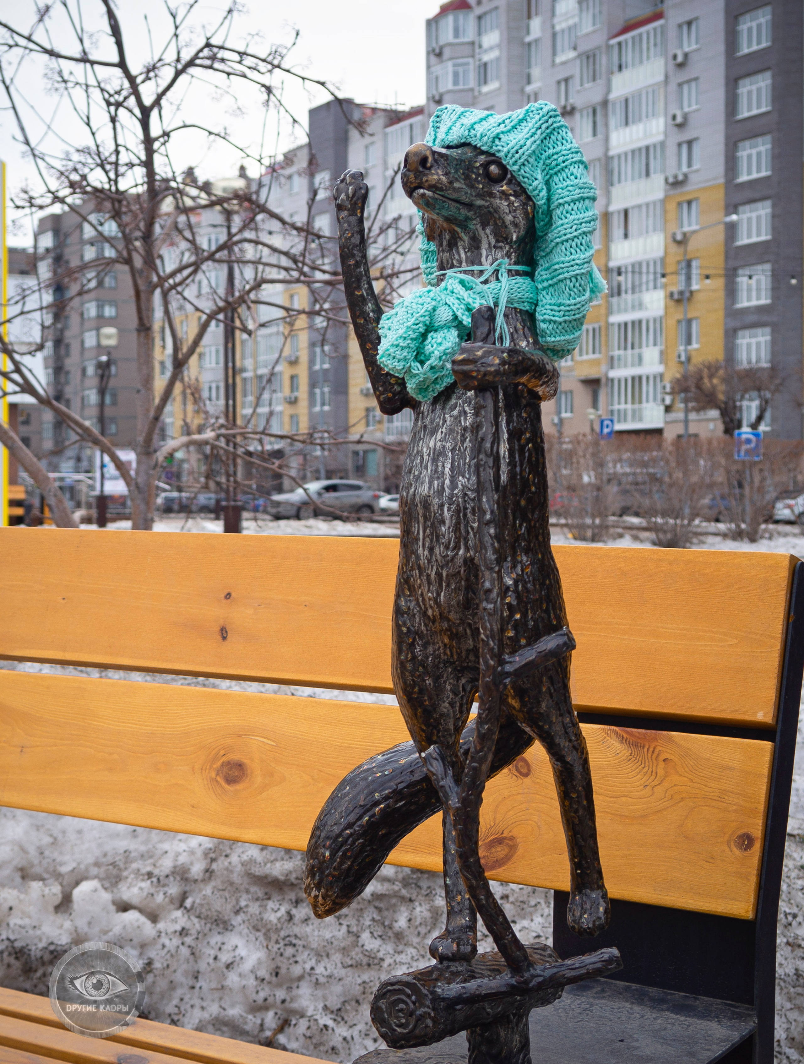 Соболь Тюментий и его друзья