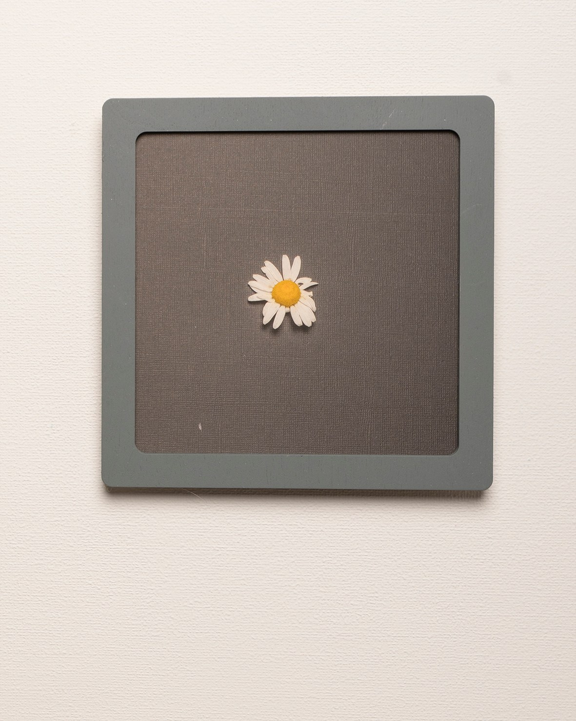 Работы приобрести. Фотохудожник АРТ-фотограф Ира Будниченко Москва