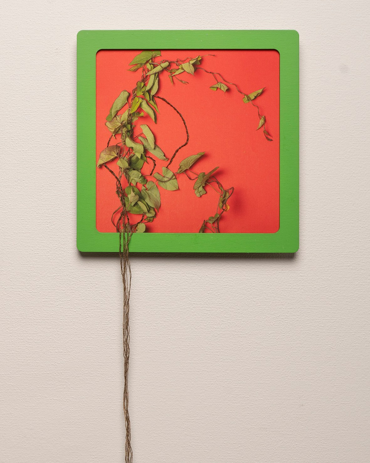 Работы приобрести. Фотохудожник АРТ-фотограф Ира Будниченко Москва