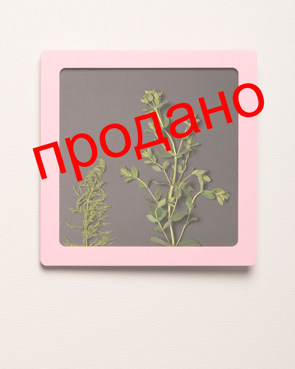 Работы приобрести. Фотохудожник АРТ-фотограф Ира Будниченко Москва
