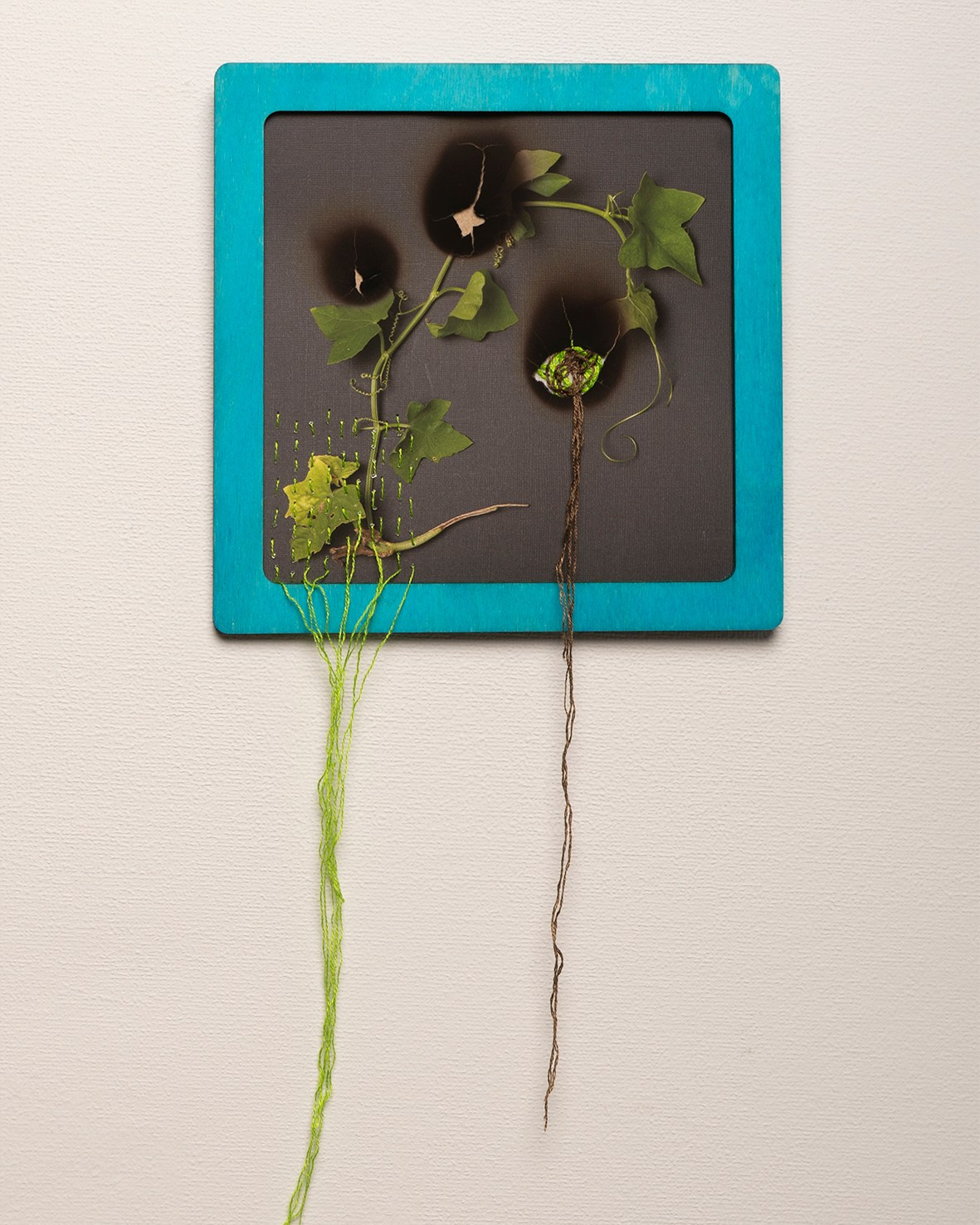 Работы приобрести. Фотохудожник АРТ-фотограф Ира Будниченко Москва