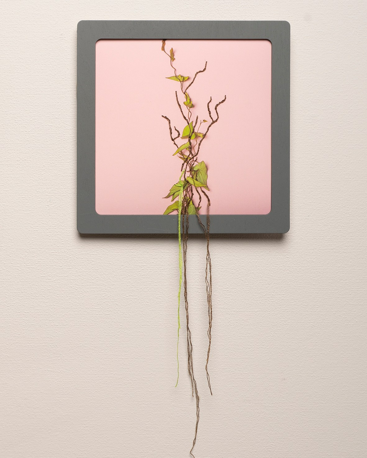 Работы приобрести. Фотохудожник АРТ-фотограф Ира Будниченко Москва