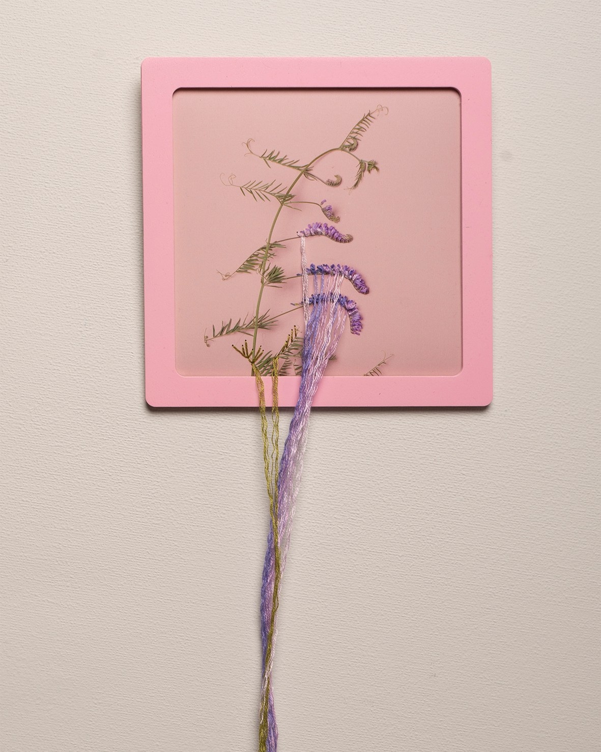 Работы приобрести. Фотохудожник АРТ-фотограф Ира Будниченко Москва