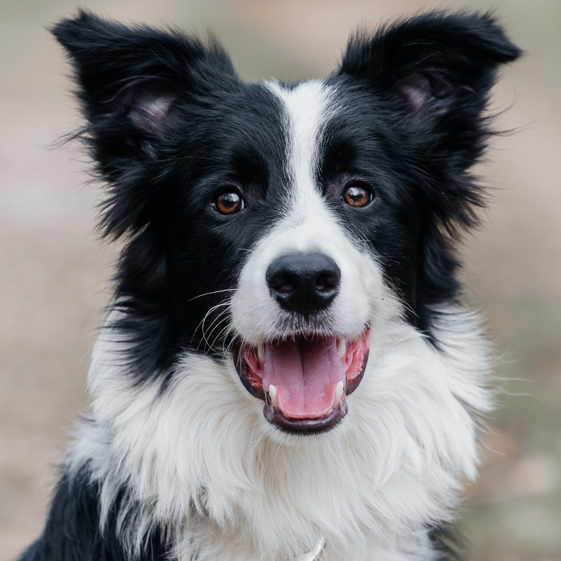 Самые нежные фотографии