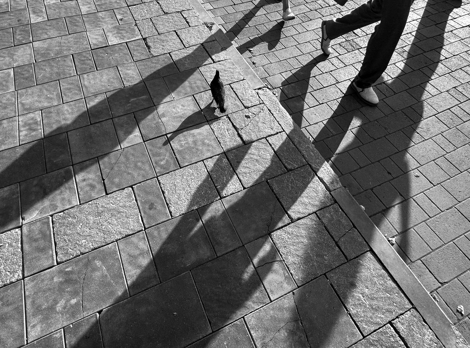 Контакты. Фотограф Юлия Близнецова