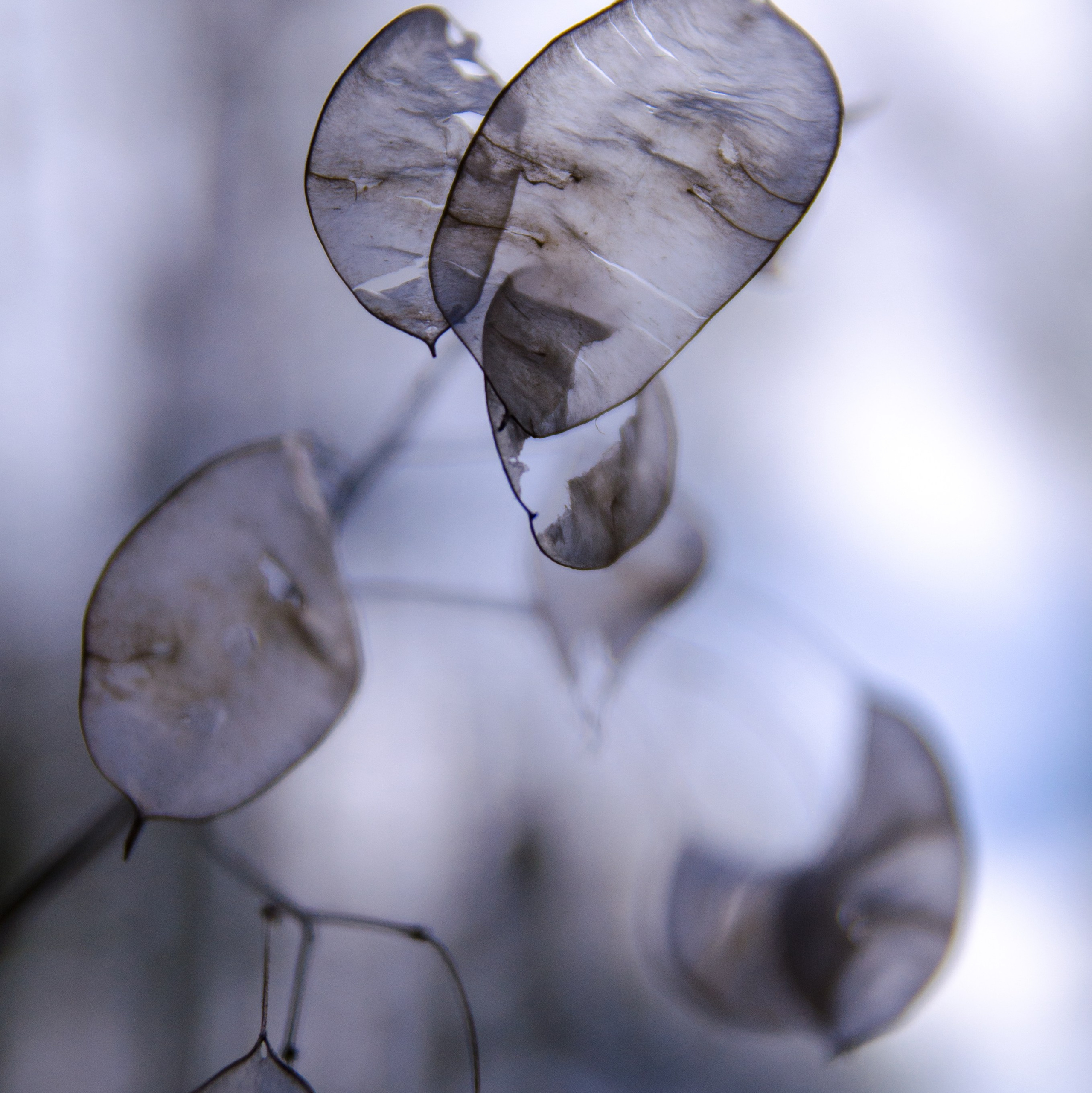 Фото, видео, монтаж