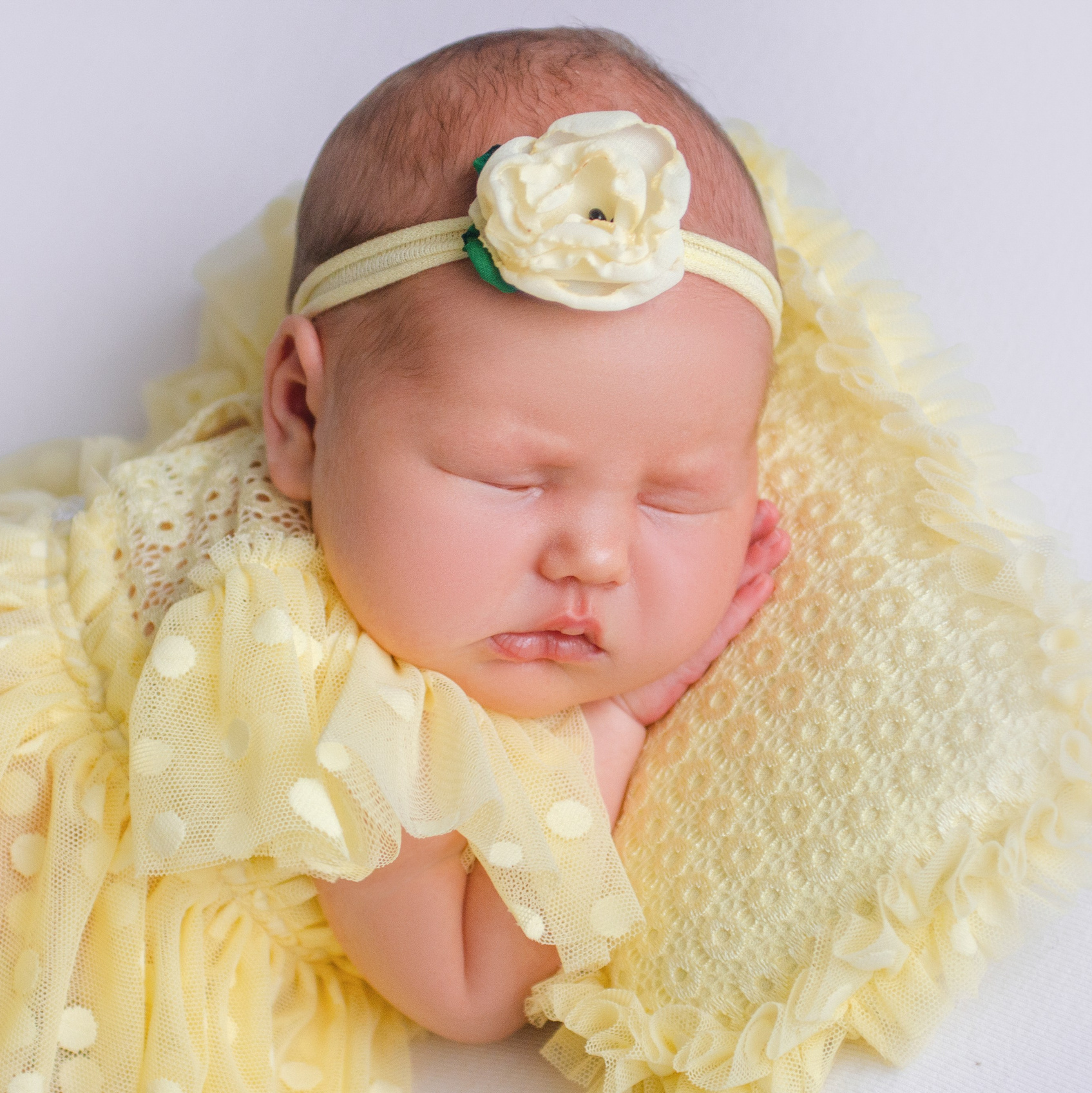 Обучение NewBorn фотосессии