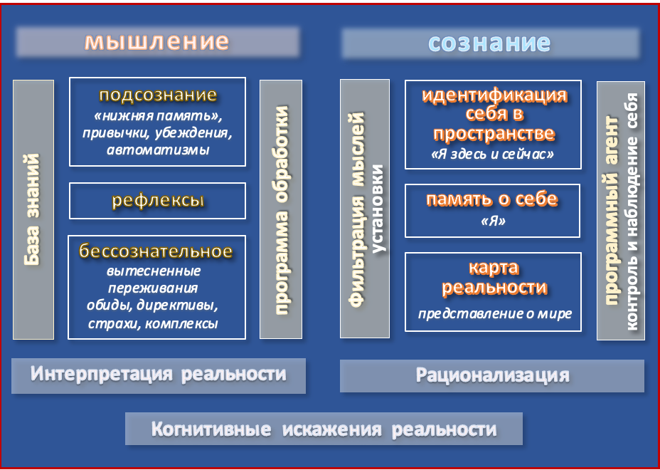 Мозг решает за нас: мысль и её осознание — не одно и то же. Гид и фотограф в Валенсии Новиков Михаил