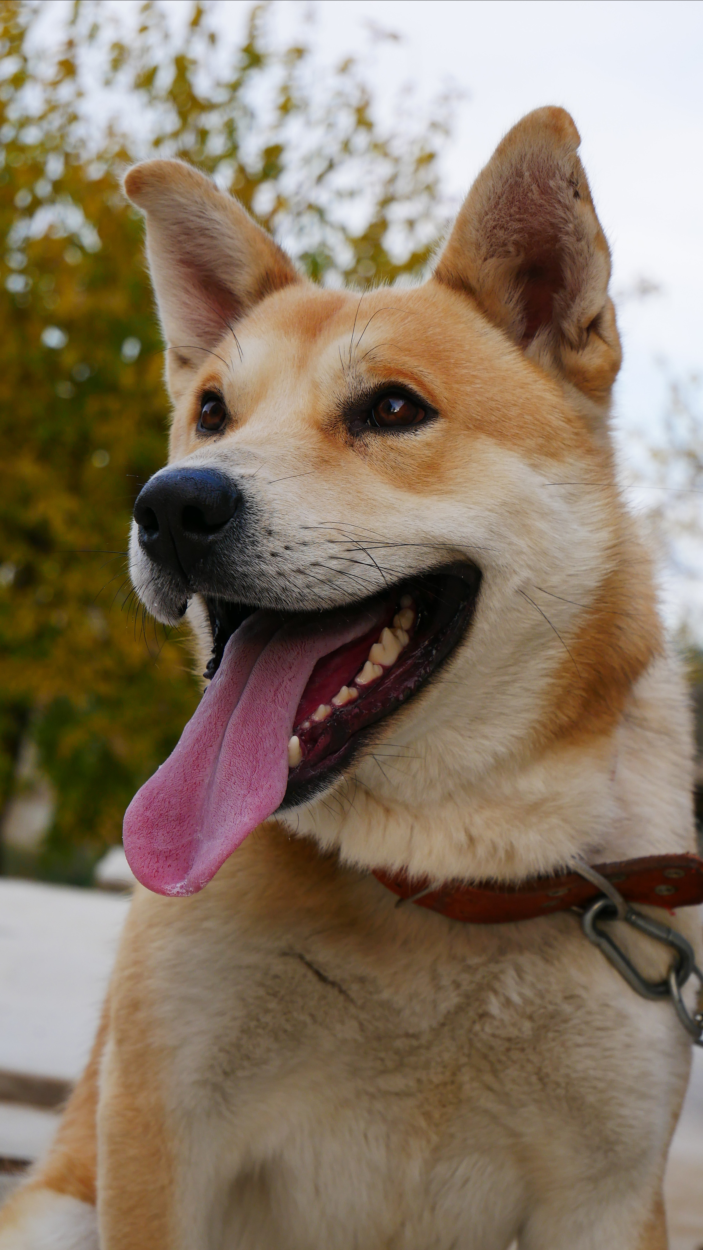 Ваш любимый фотограф